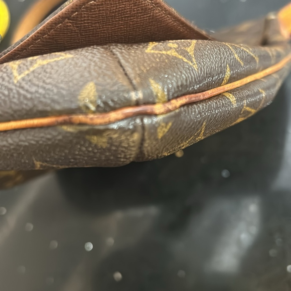 Louis Vuitton RunWay Bag - Picture 11 of 16